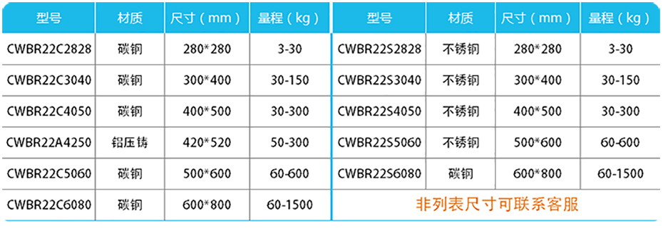 高精度計(jì)數(shù)臺(tái)秤-CWBR22產(chǎn)品參數(shù)